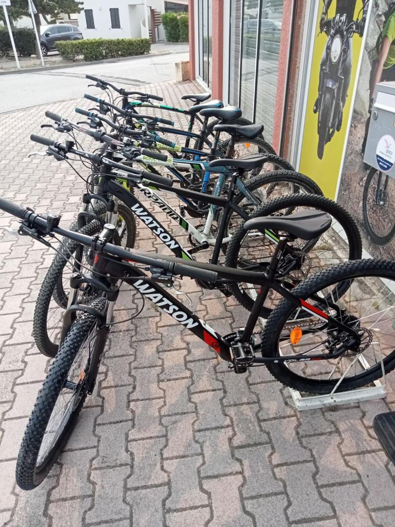 Location vélo pour groupes 