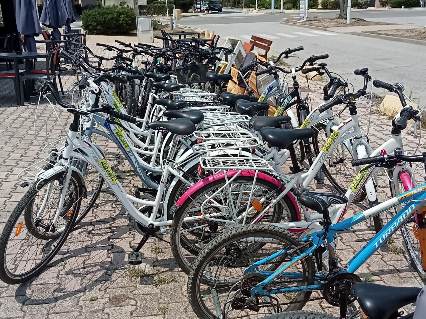 Location vélo pour groupes Port Leucate
